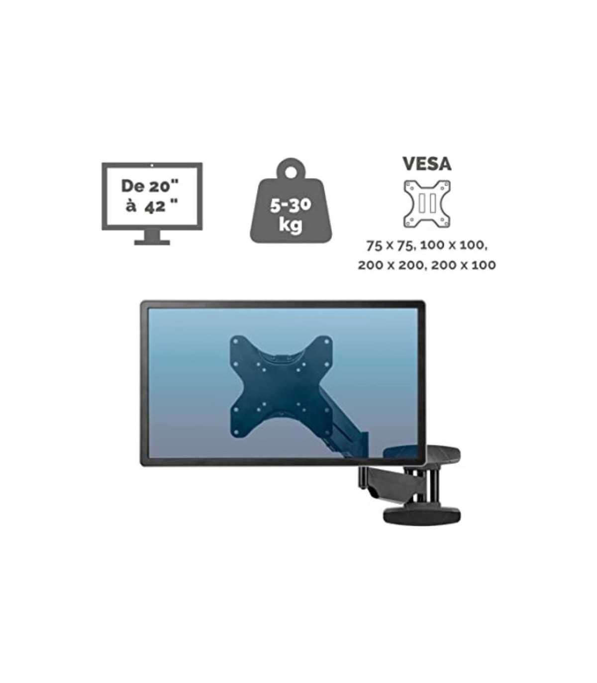 FELLOWES BRAS PORTE CRAN SIMPLE MURAL