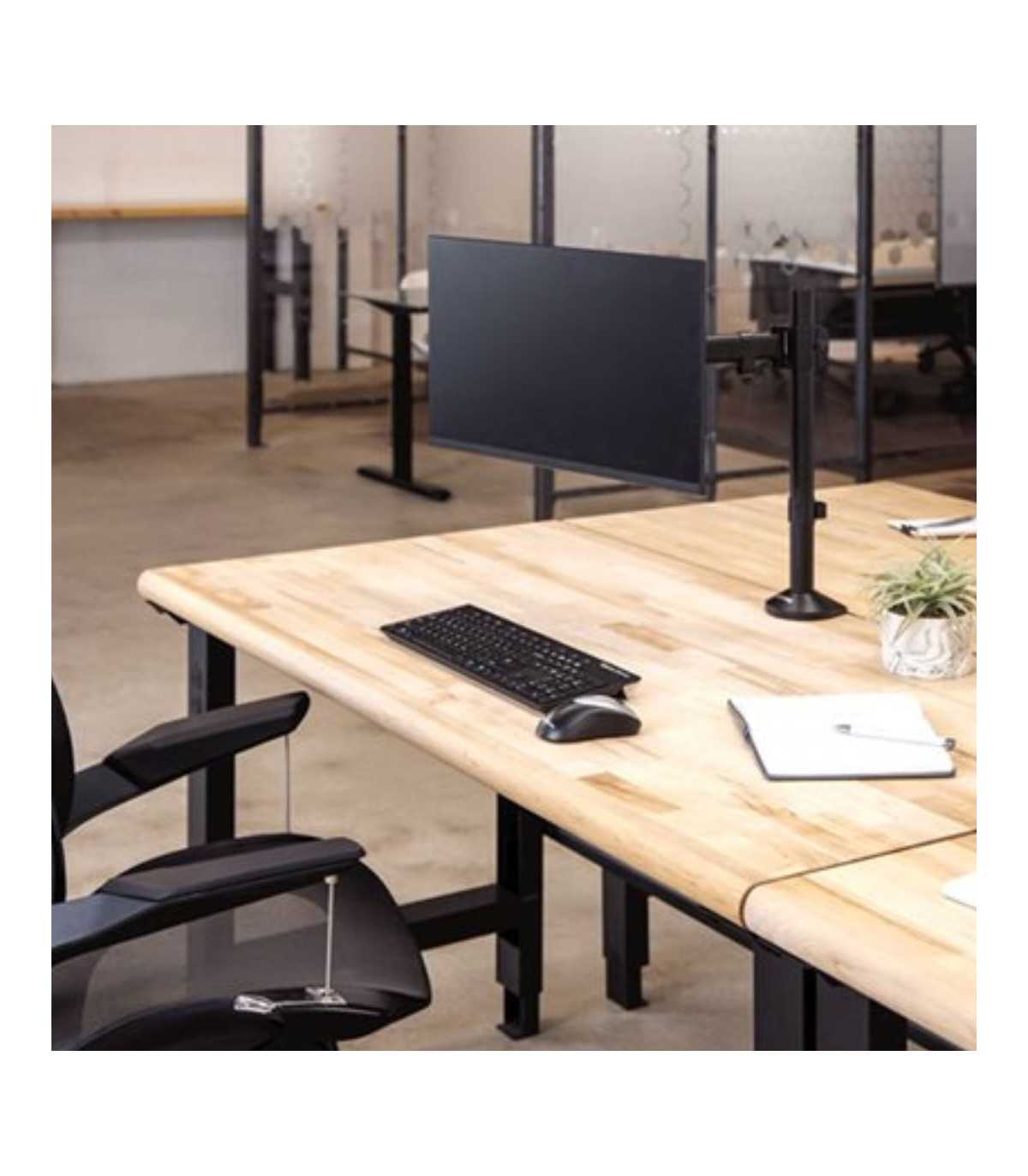 FELLOWES BRAS PORTE-ECRAN SIMPLE REFLEX pour 1 écran jusqu'à 32, Hauteur et Pro