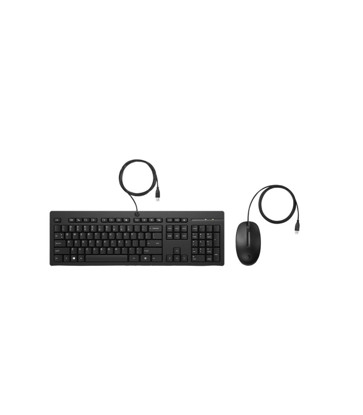 HP-C Ensemble combiné clavier et souris filaires HP 225 - noir