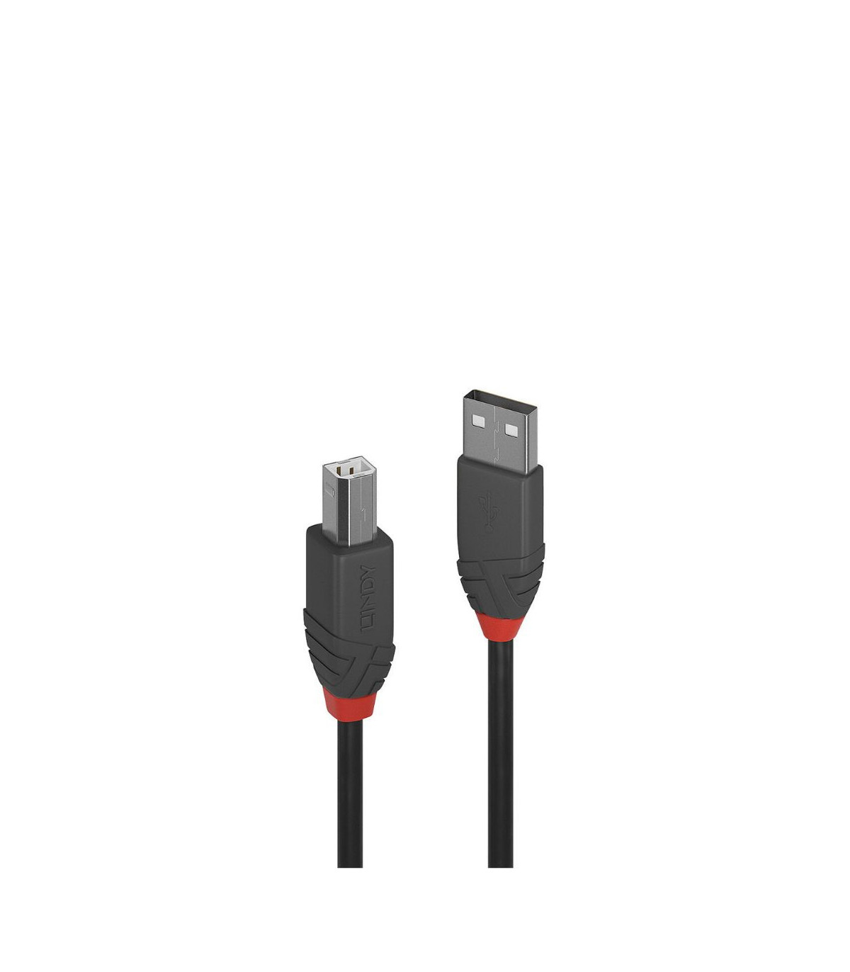C ble USB 2.0 type A vers B, Anthra Line, 10m