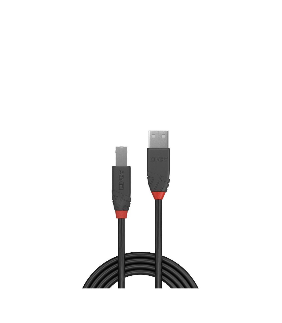 C ble USB 2.0 type A vers B, Anthra Line, 10m
