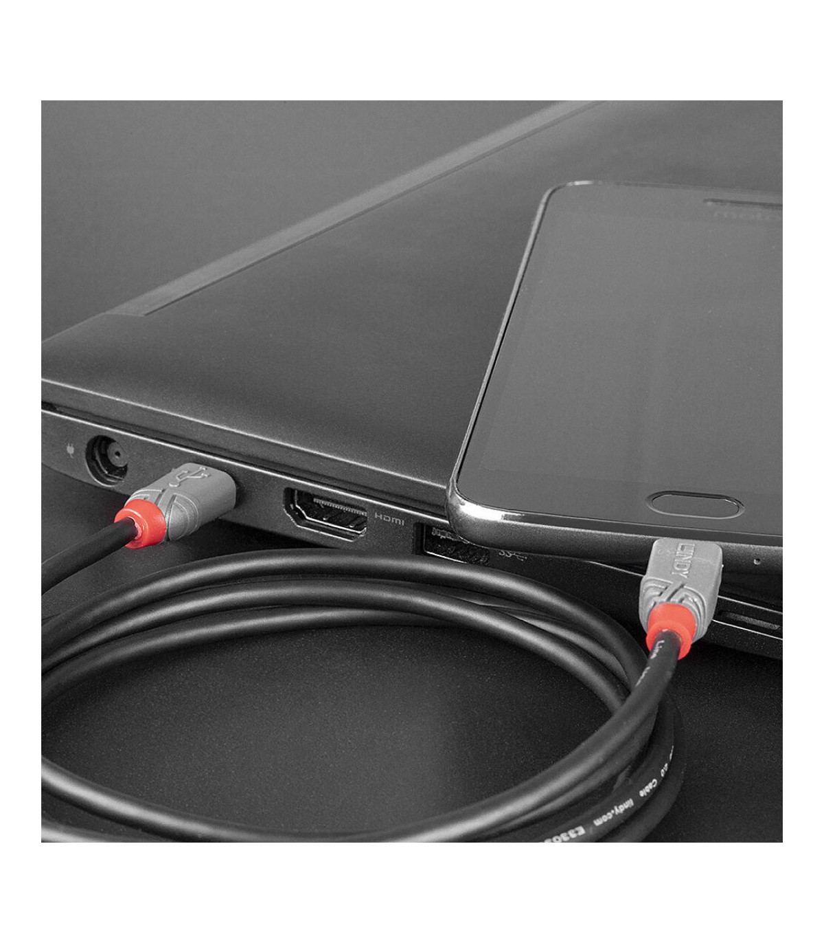 C ble USB 2.0 Type C vers Micro-B, Anthra Line, 0.5m