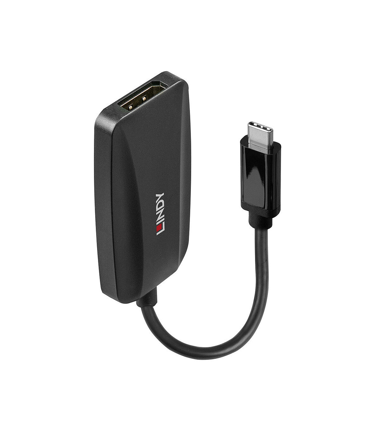 Convertisseur USB Type C vers DisplayPort 1.4
