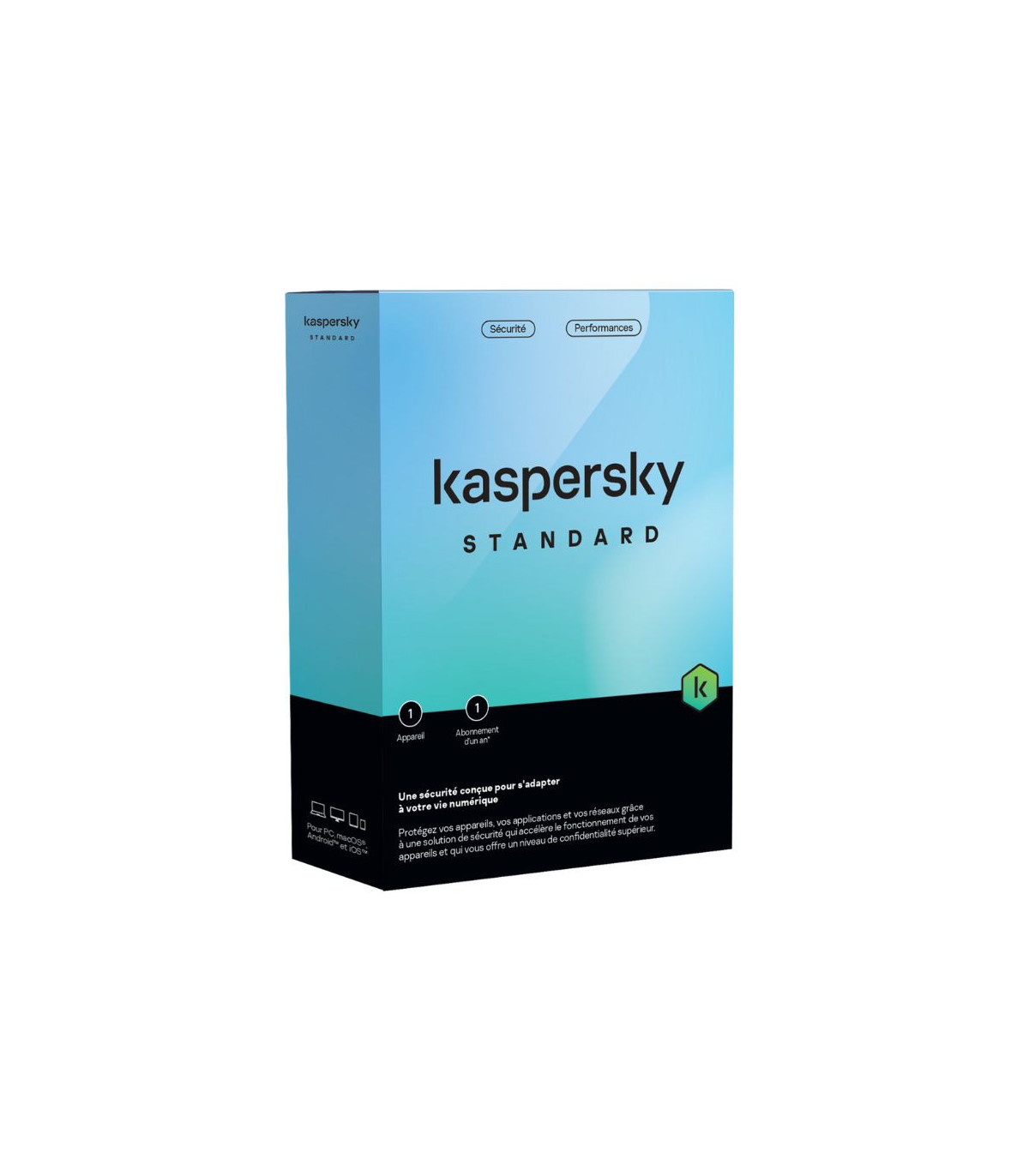 Kaspersky Standard 1 Poste/1 An KL1041F5AFS